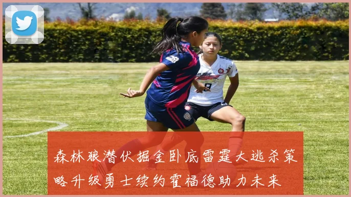 森林狼潜伏掘金卧底雷霆大逃杀策略升级勇士续约霍福德助力未来