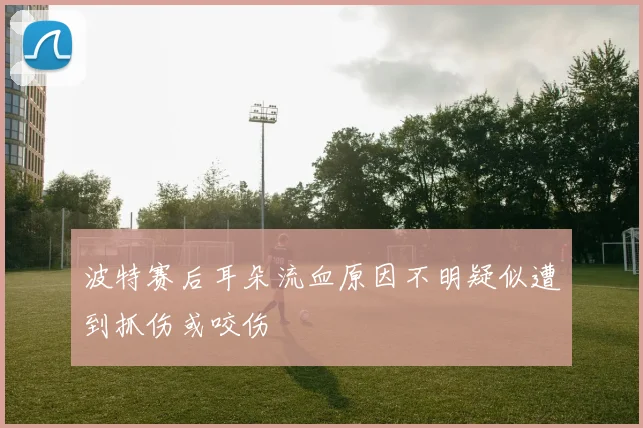 波特赛后耳朵流血原因不明疑似遭到抓伤或咬伤